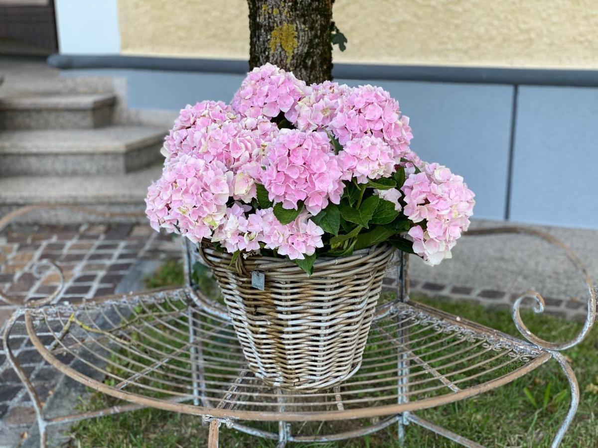 Almtalhotel Appartements In Pettenbach Exteriér fotografie